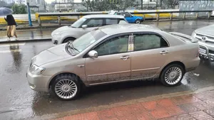 Toyota Corolla 2004 Gray