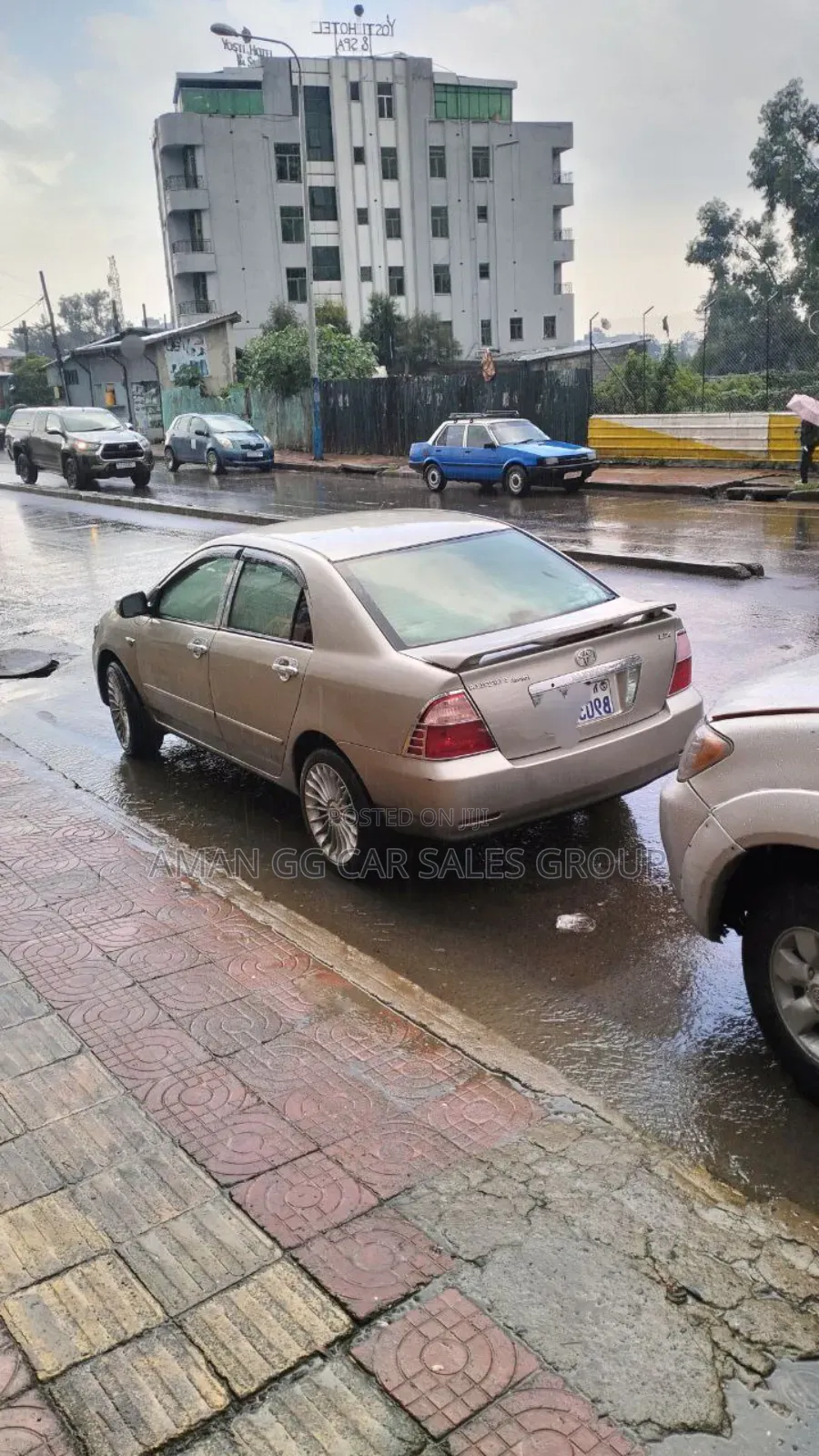 Toyota Corolla 2004 Gray