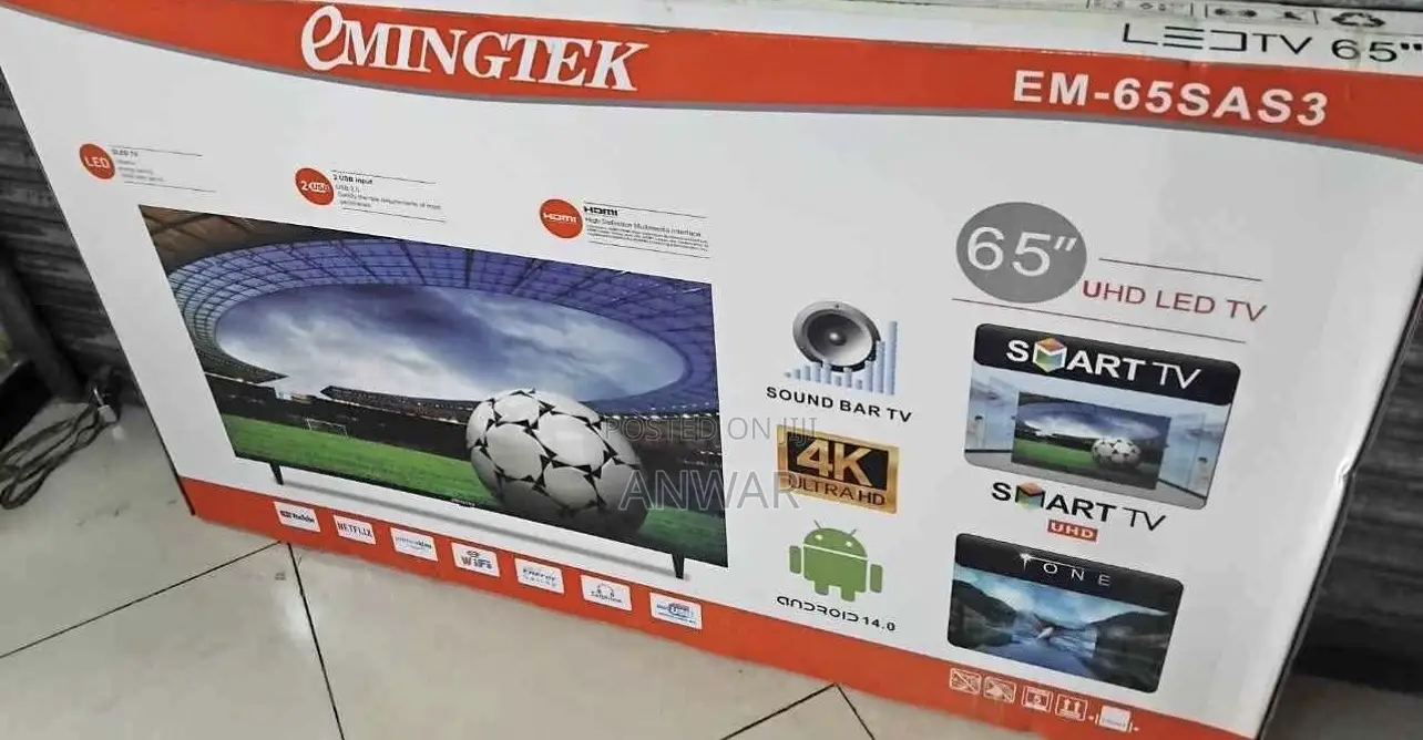 Emingtech 65 Inch Tv