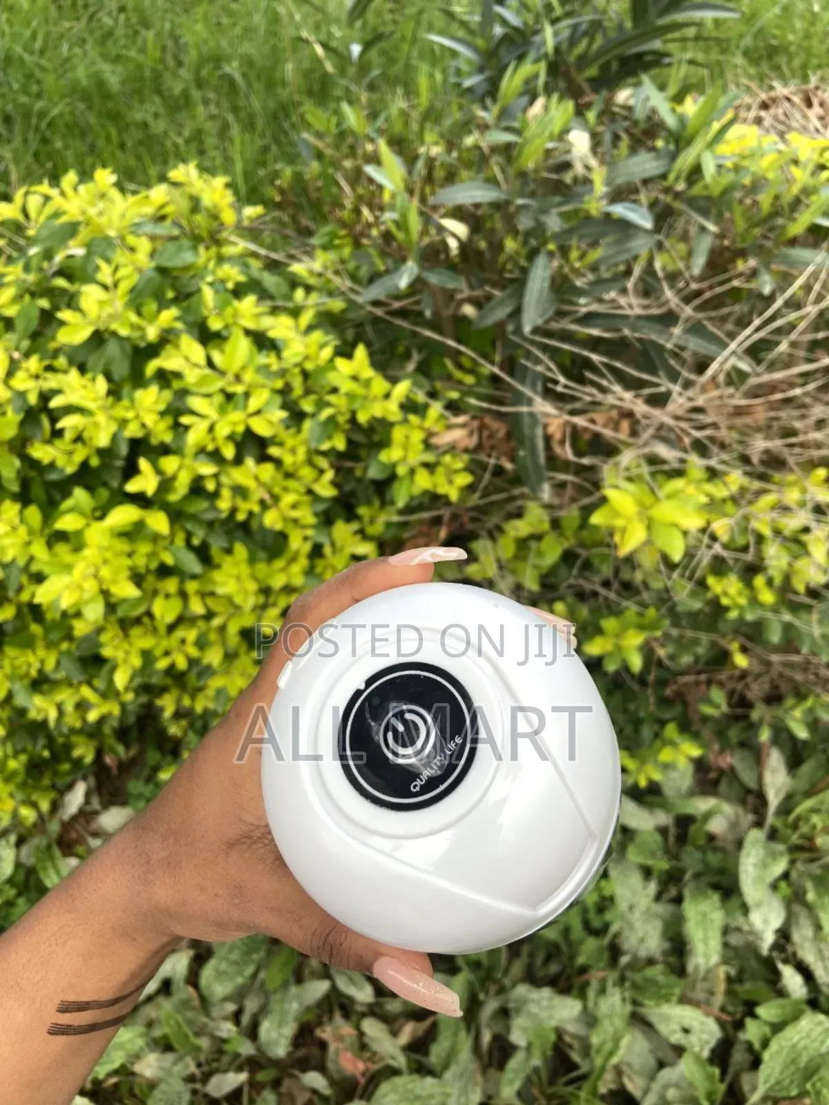 የነጭ ሽንኩርት ፣ ቅመም እና የልጅ ምግብ መፍጫ