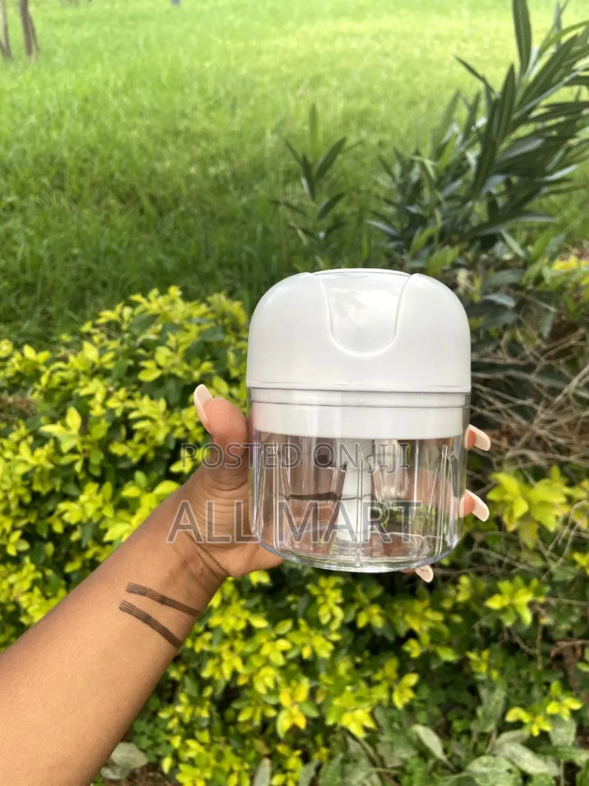 የነጭ ሽንኩርት ፣ ቅመም እና የልጅ ምግብ መፍጫ