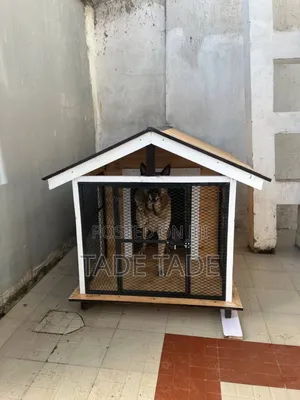 Photo - Smart Dog House