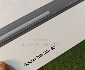 Photo - New Samsung Galaxy Tab S10+ 5G 256 GB Silver