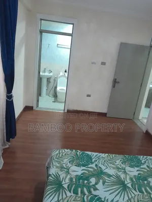 Furnished 3bdrm Apartment in Bole for rent