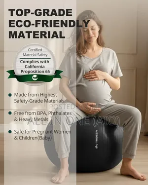 Original Gym Ball / Yoga Ball Set 65 Cm Blue Or Purple