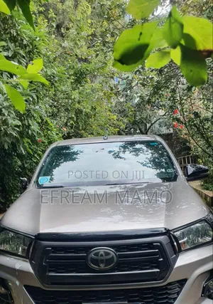 Toyota Hilux 2020 Brown