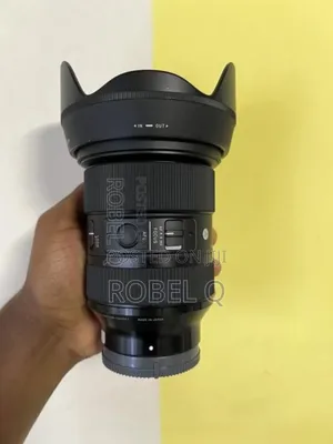 Sigma 24-70mm F2.8 for Sony Mirrorless