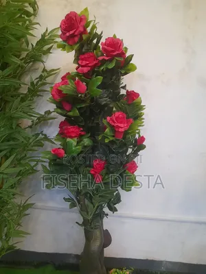 1ሜትር አበባ ግንድ