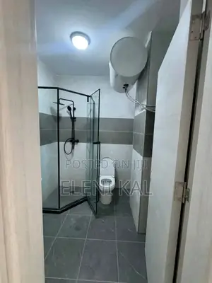 Furnished 3bdrm Apartment in Jambo Real Estate, Bole for sale