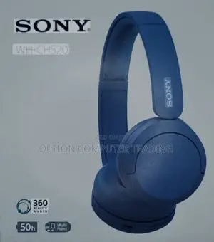 Photo - Sony Wh-Ch520 Wireless Bluetooth Headphones