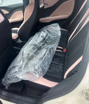 Photo - New BYD Seagull 2024 Off white