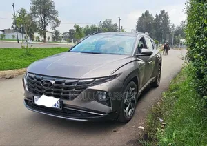 Hyundai Tucson 2022 Gray