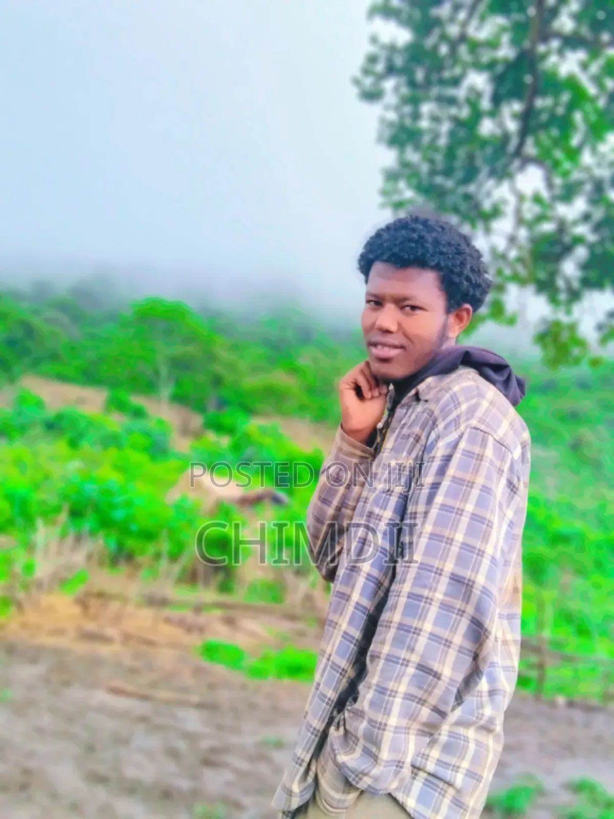 Bel Academy Educational