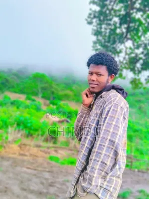 Photo - Bel Academy Educational