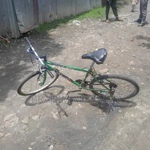 Photo - Motorcycle 2024 Blue