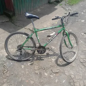 Motorcycle 2024 Blue