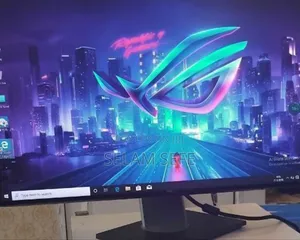 Dell Monitore