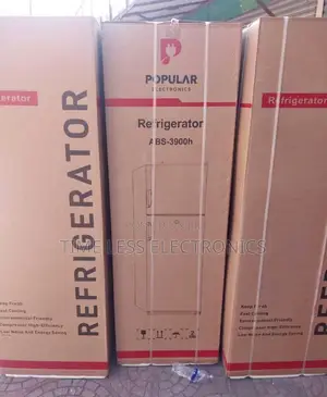 Popular Fridge – Freshness Reliability