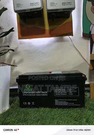 5kw Srne Hybrid Inverter Lithium Ion Battery