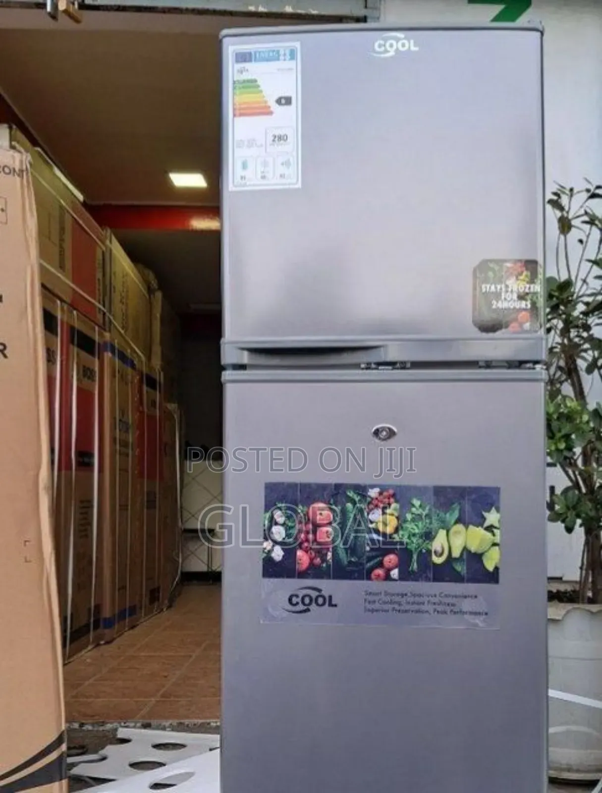 Cool 260litre Fridge