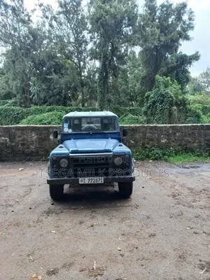 Photo - Land Rover Defender 1989 Blue