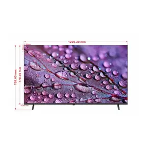 Hisense 55” Smart Tv