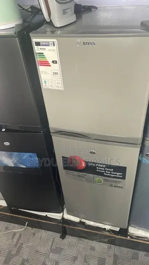 Photo - Boss 250_model Referigereto