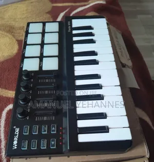 World Panda Mini Midi Studio Keyboard