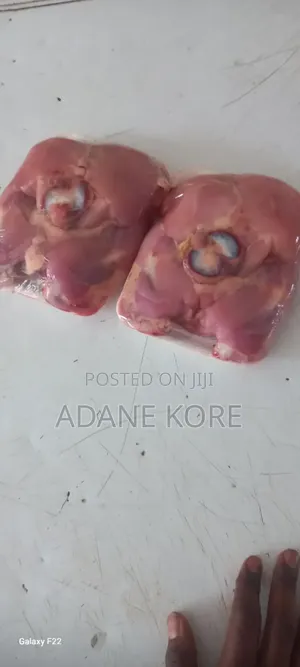 Fresh Fish,Chicken,Mozerla,Beef