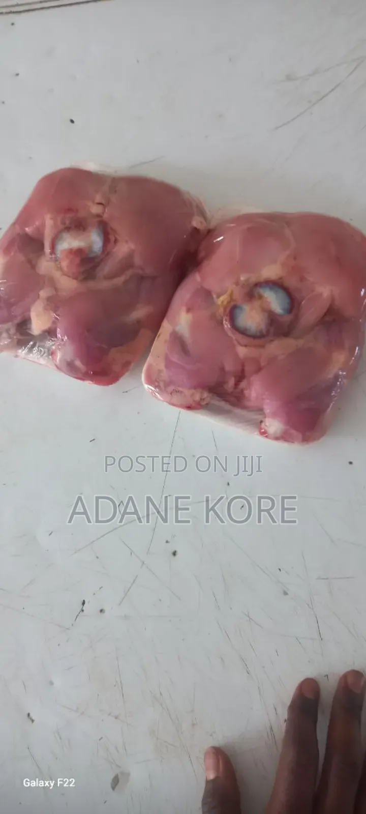 Fresh Fish,Chicken,Mozerla,Beef