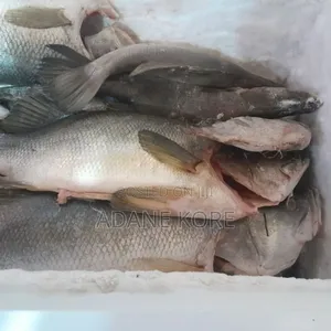 Fresh Fish,Chicken,Mozerla,Beef