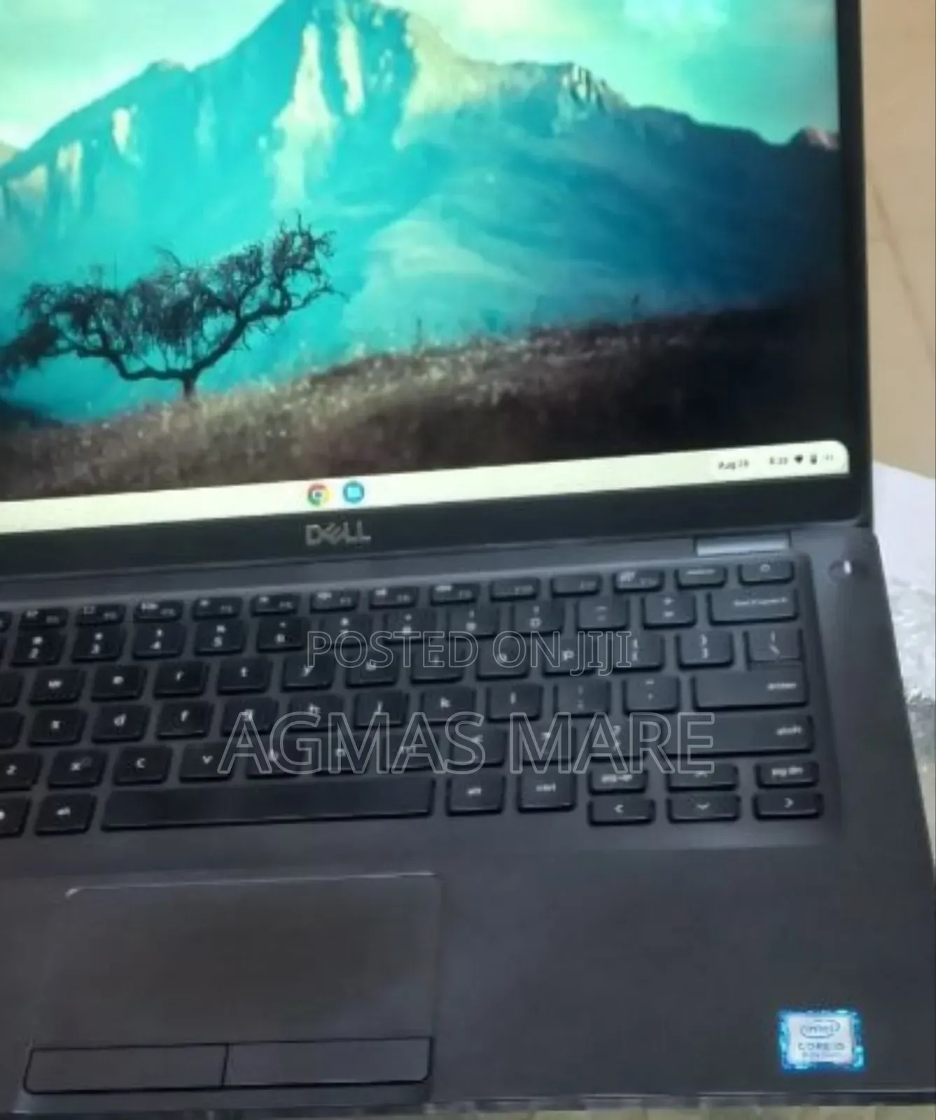 New Laptop Dell Chromebook 3100 8GB Intel Core I5 SSD 256GB