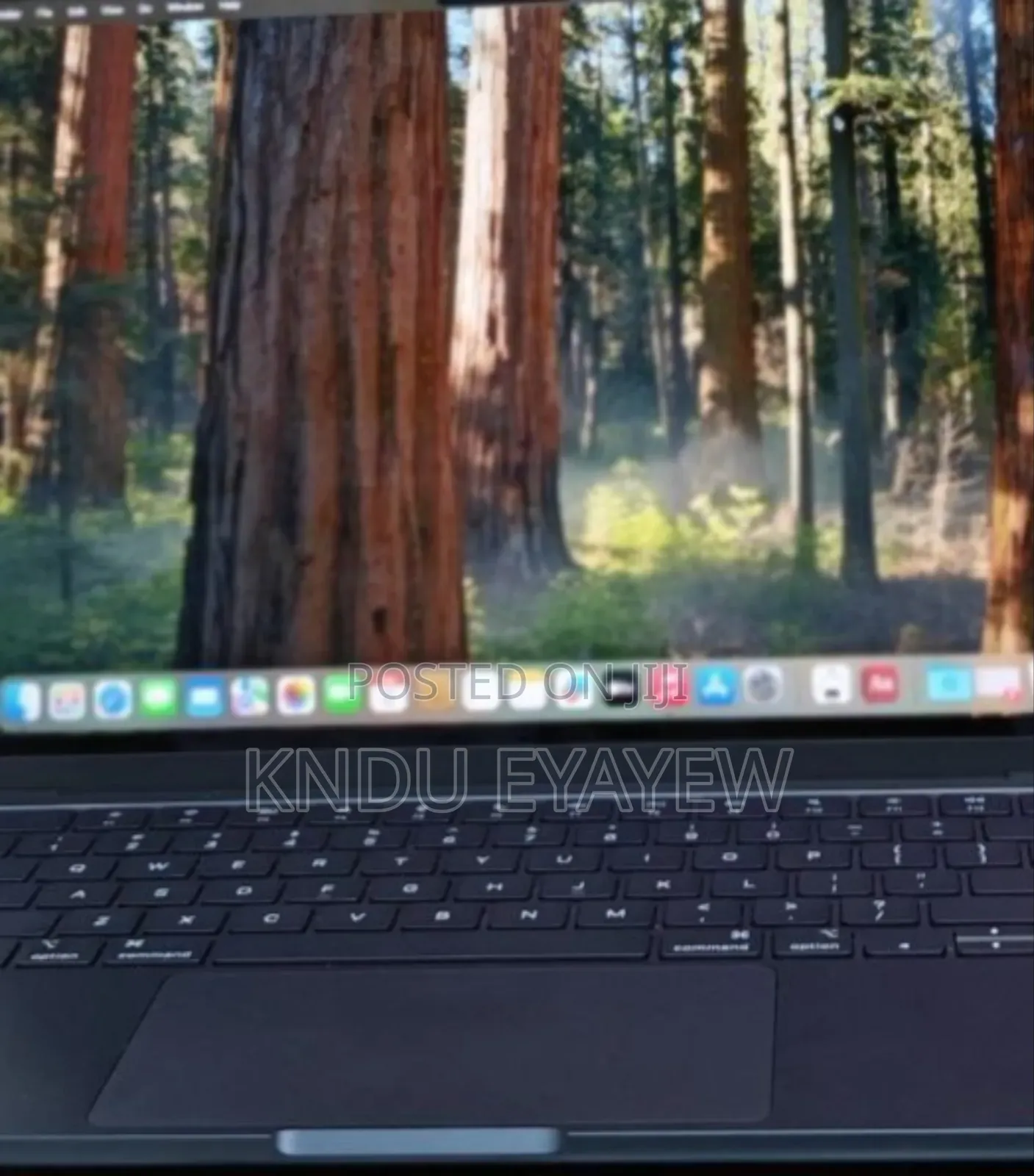 New Laptop Apple MacBook 16GB Apple M3 SSD 256GB