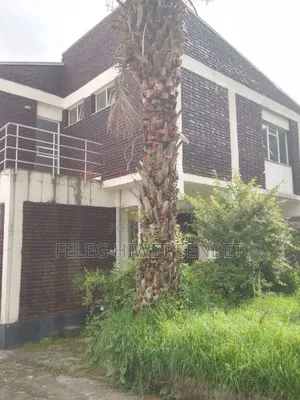 Furnished 3bdrm House in አአ, Bole for sale