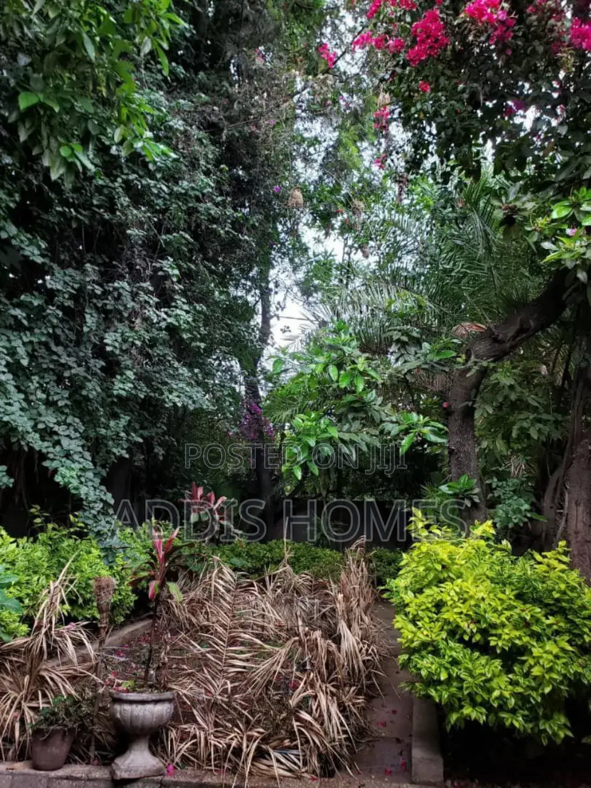 Furnished 4bdrm House in Bole for rent