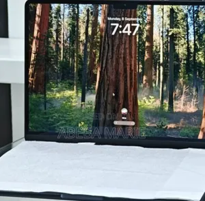 New Laptop Apple MacBook Air 2025 M4 13-Inch 16GB Apple M4 SSD 256GB