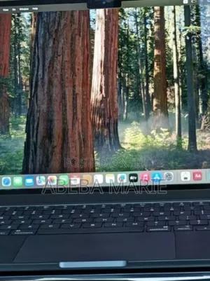 New Laptop Apple MacBook Air 2024 M3 13-Inch 16GB Apple M3 SSD 256GB