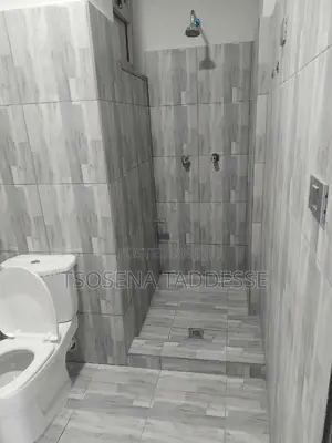 2bdrm Apartment in Nifas Silk-Lafto for rent