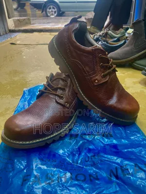 Photo - Comfortable and Original Cat Shows