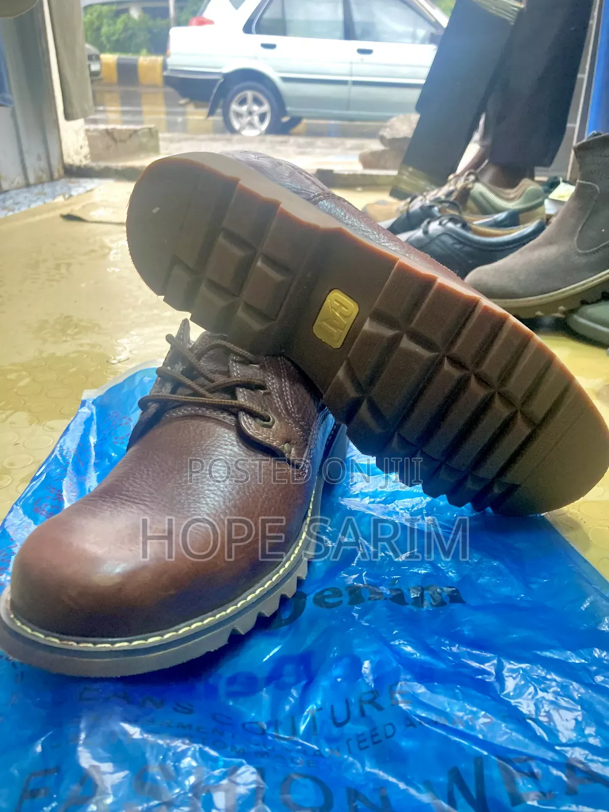 Comfortable and Original Cat Shows