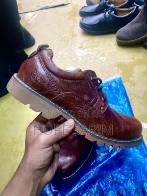 Comfortable and Original Cat Shows