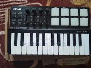 Photo - World Panda Mini Midi Studio Keyboard