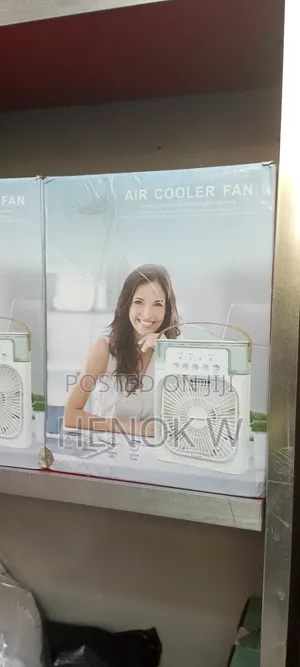 Dual Use Air Cooler Fan Humidifier