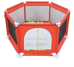 Indoor/Outdoor Play Ground