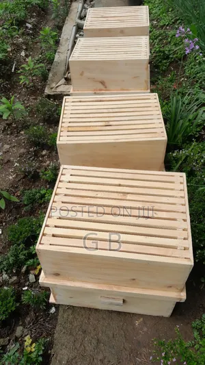 Beehive (Langstroth) Hive Equipment