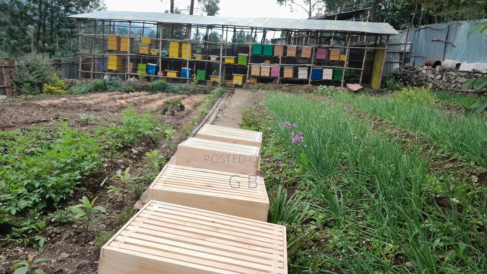 Beehive (Langstroth) Hive Equipment