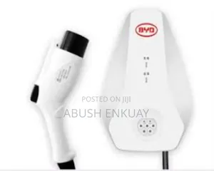 New Byd 2025 Charger