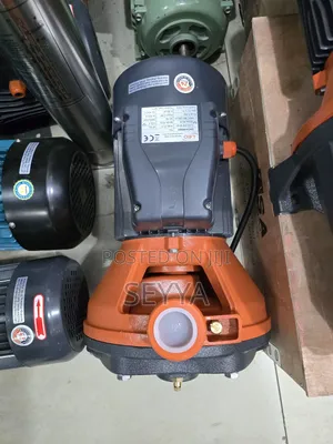 Photo - Electrical Surface Pump