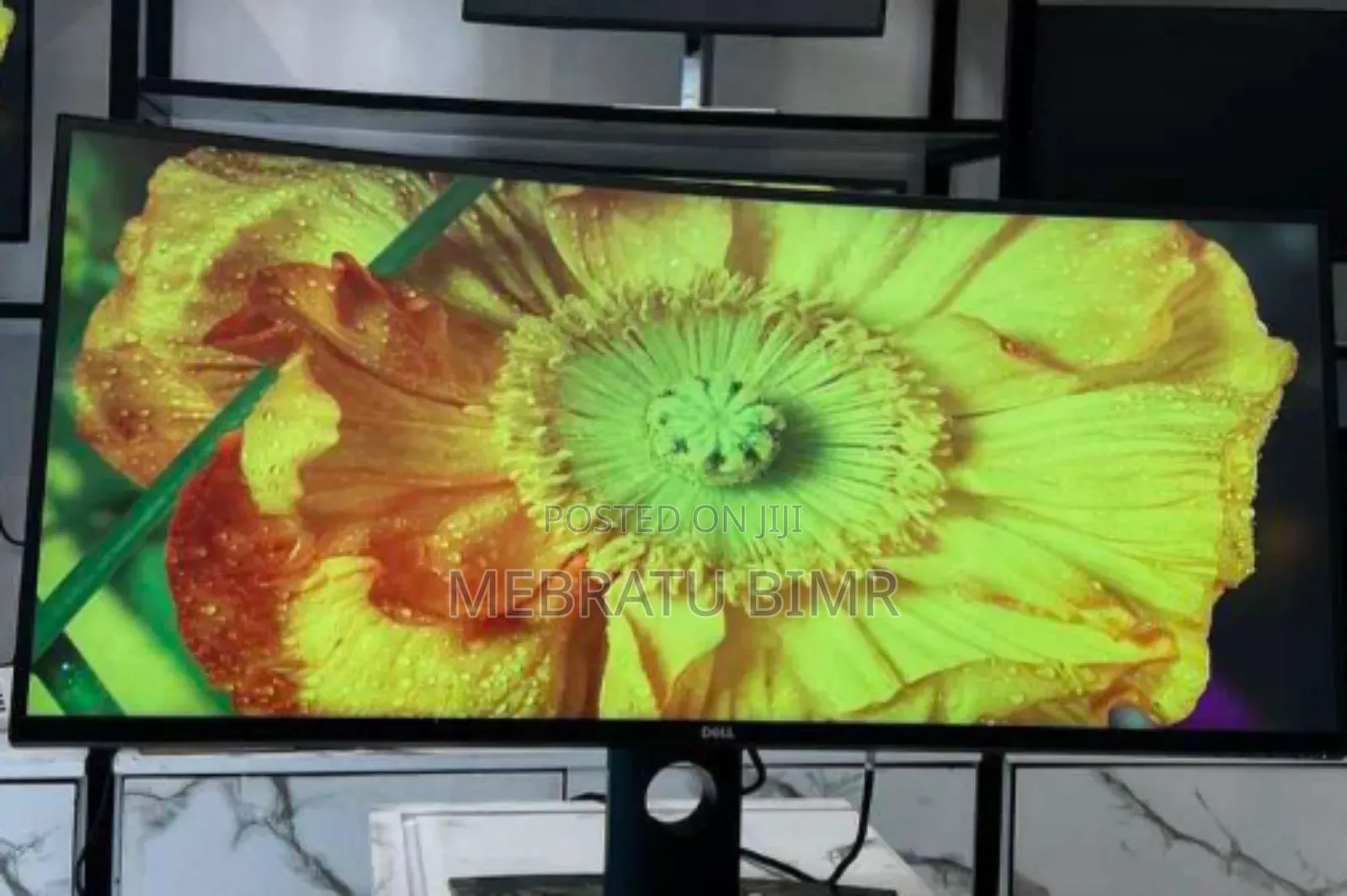 Dell Curved Monitor