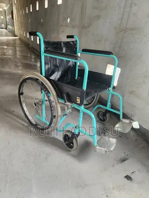 Wheelchair胎盤used Wheelchair蝨子wheelchair脯了wheelchair名為wheelchair Medicl